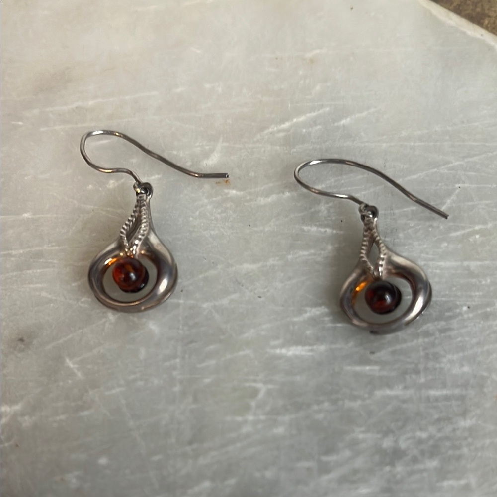 Elegant Silver and Brown Earrings